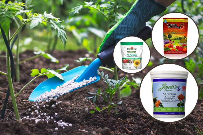 Plant food for flowering plants