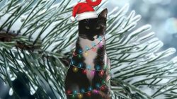 Tuxedo cat christmas ornament