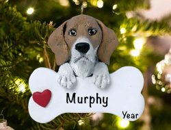 Personalized Dog Christmas Ornament A Guide